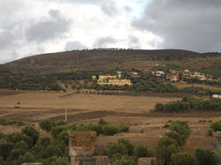 International Travel