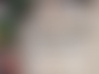 Le catalogue de Noël est en ligne