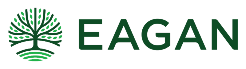 City of Eagan logo