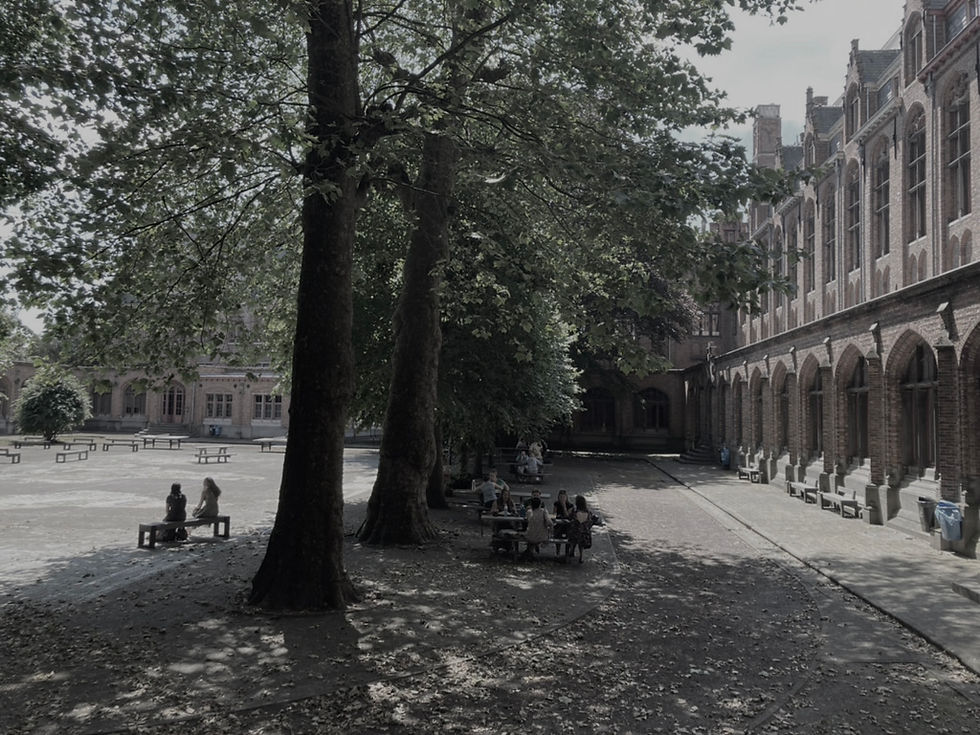 Stedenbouwkundige Gent