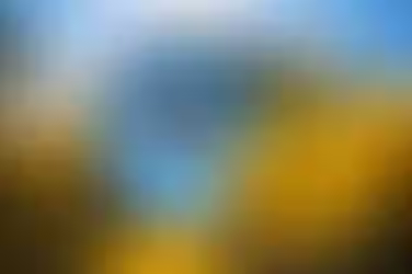 Reflet d'un papillon dans un miroir dans un champ de fleurs jaune, symbolise la transformation et la réflexion sur soi-même.