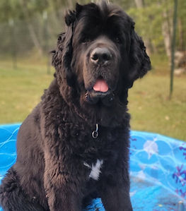 238987809_10222717356217400_8750818426527660902_n (1).jpg