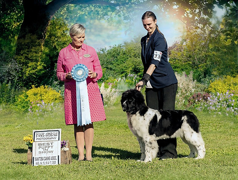 Aug 16 2025 BPIS.jpg