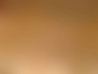 ワックスを塗った床板