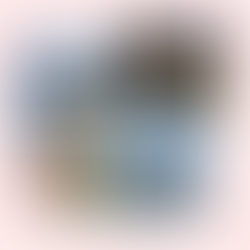 A collage featuring Liba Mott with a soft pink background. At the top left, her name “Liba Mott” is written in elegant blue script. Four photos are arranged on the page. Top left: Liba stands in a white graduation gown holding a bouquet of flowers under a balloon arch in blue and white. Rows of white chairs and a stage are set up behind her on a green lawn. Top right: Liba sits on steps in a city at night, wearing a white sweater and black pants. Twinkling lights in nearby trees and tall buildings provide a festive, urban background. Bottom left: A baby photo of Liba being held by a woman outdoors, surrounded by greenery. Bottom right: Liba stands on a beach with the Golden Gate Bridge faintly visible in the background. She is holding a turquoise sweatshirt and smiling at the camera. At the bottom of the collage, text reads: “Fuzhou, China to Chicago, Illinois”.