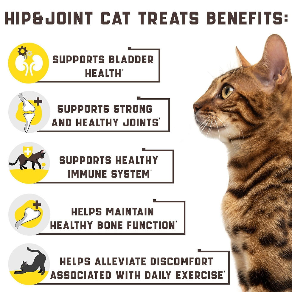 Thumbnail: Natural Glucosamine for Cats   Effective Cat Joint Supplement That Helps Improve