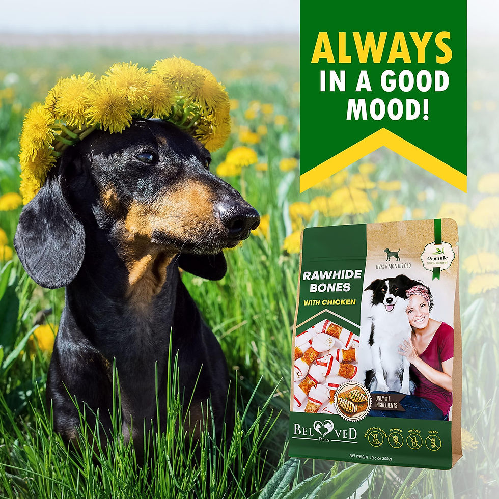 Thumbnail: Dog Rawhide Sticks Wrapped with Chicken Pet Natural Chew Treats Grain Free Snack