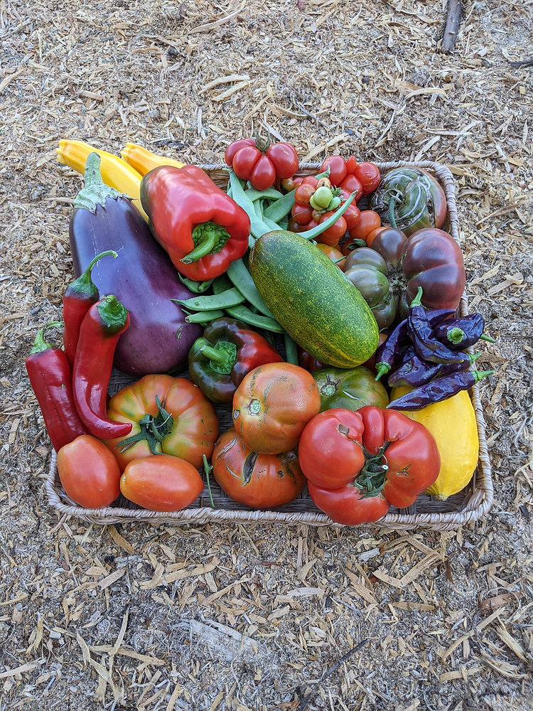 Picture of The Path to Self-Sufficiency: Start a Home Vegetable Garden Today!
