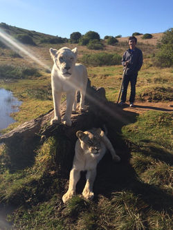 Photo by Seth Bubbus