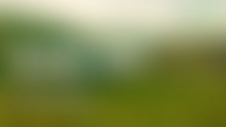 26.3.5 목 MK동행기도회