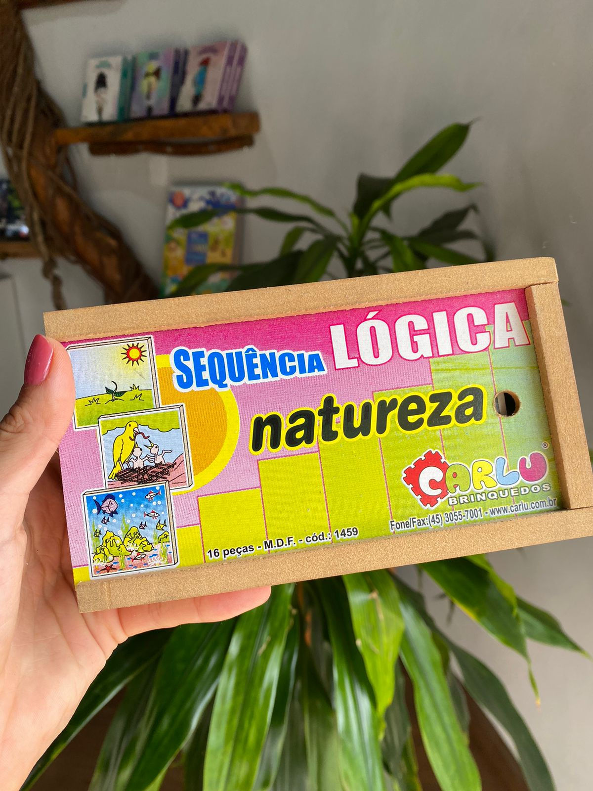 Sequencia Lógica