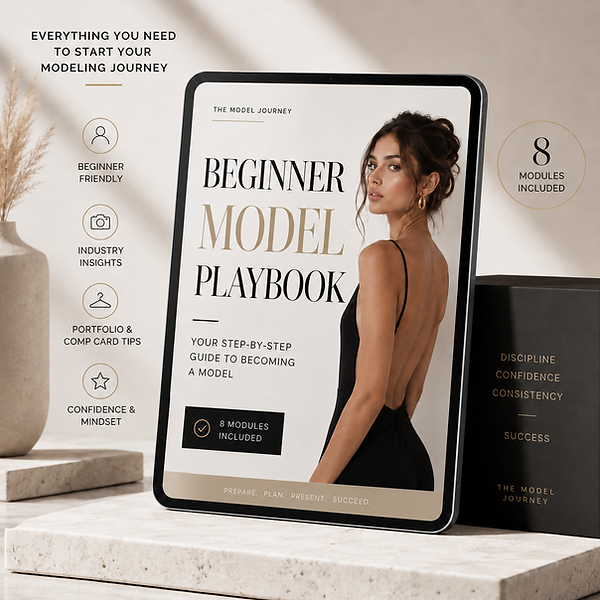 Beginner model playbook.png