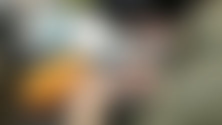 ジェネリック医薬品の製剤的な特徴を臨床現場に伝える。