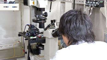 漢方薬のサイエンス治療効果の薬理学的エビデンスを明らかに。