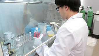 パンデミックに備えた抗ウイルス薬開発を目指す。