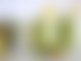 Tropical Green Smoothie