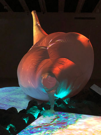 IMG_2944.JPEG