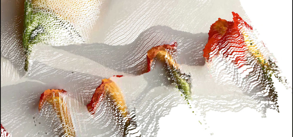 square-final (0-06-49-10).jpg