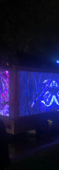 IMG_3750.JPEG