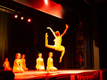 The Artistry-Technique Nexus: Elevating Dance Beyond Tricks