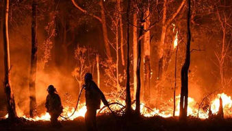 Australia is on Fire, Global Warming is Real, and the World Doesn't Care