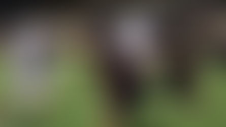 Glendora Tartans Move On to Round 2 of C.I.F. Against Apple Valley Sun Devils