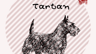 The History of Bagpipes