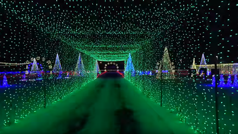 Safely Celebrating the Holidays