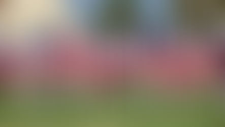 Field of Valor Event in Covina Works to Recognize and Assist Veterans