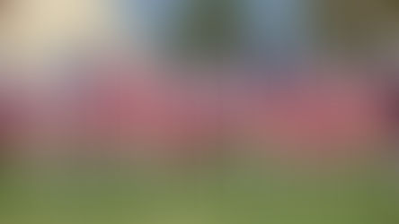 Field of Valor Event in Covina Works to Recognize and Assist Veterans