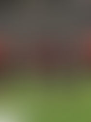 Glendora Varsity Football to Tackle the First Round of C.I.F. Against Burbank Bulldogs