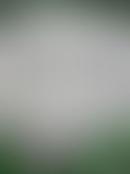 Rest in Peace - An Apocalypse Short Story by Jason Trujillo