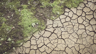 An Apocalypse Short Story by Alec Banuelos