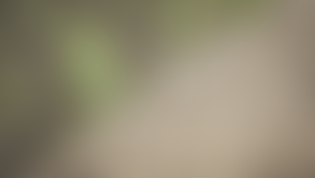 An Apocalypse Short Story by Alec Banuelos