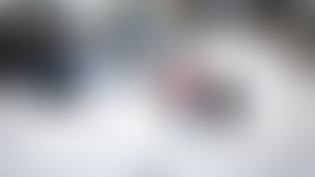 An Unexpected and Dangerous Winter Wonderland