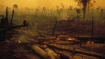 Indigenous Amazonian Inhabitants at Risk of Losing Both Home and Identity