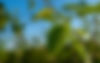 AdobeStock_490510653_edited.jpg