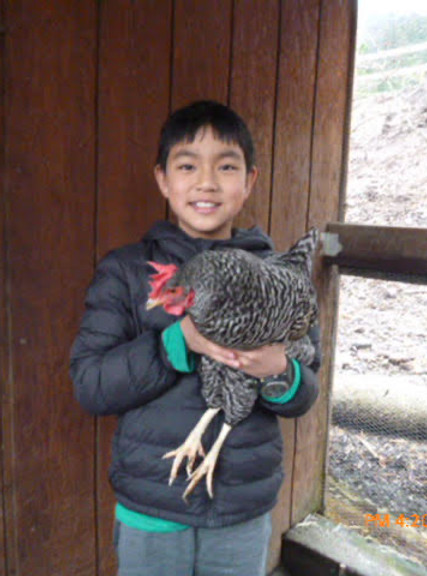 P1010439_Original - Aidan Wu.jpg