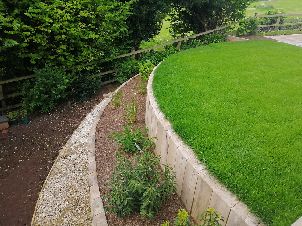 Greener Landscapes raised timber wall oak sleepers curved steps grass plants and gravel