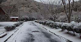 🎍年末プラン受付開始しました🎍