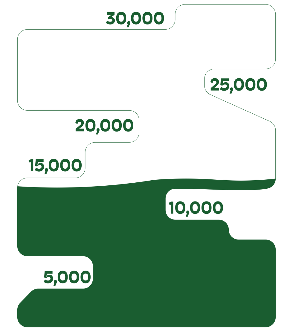 SPACE 2025 EOY Fundraiser_13k.png