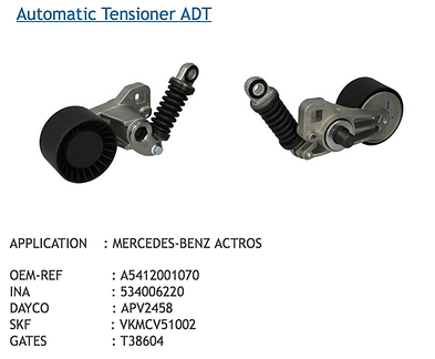 Auto tensioner and bearing