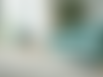 Expert Residential Cleaners for Hire