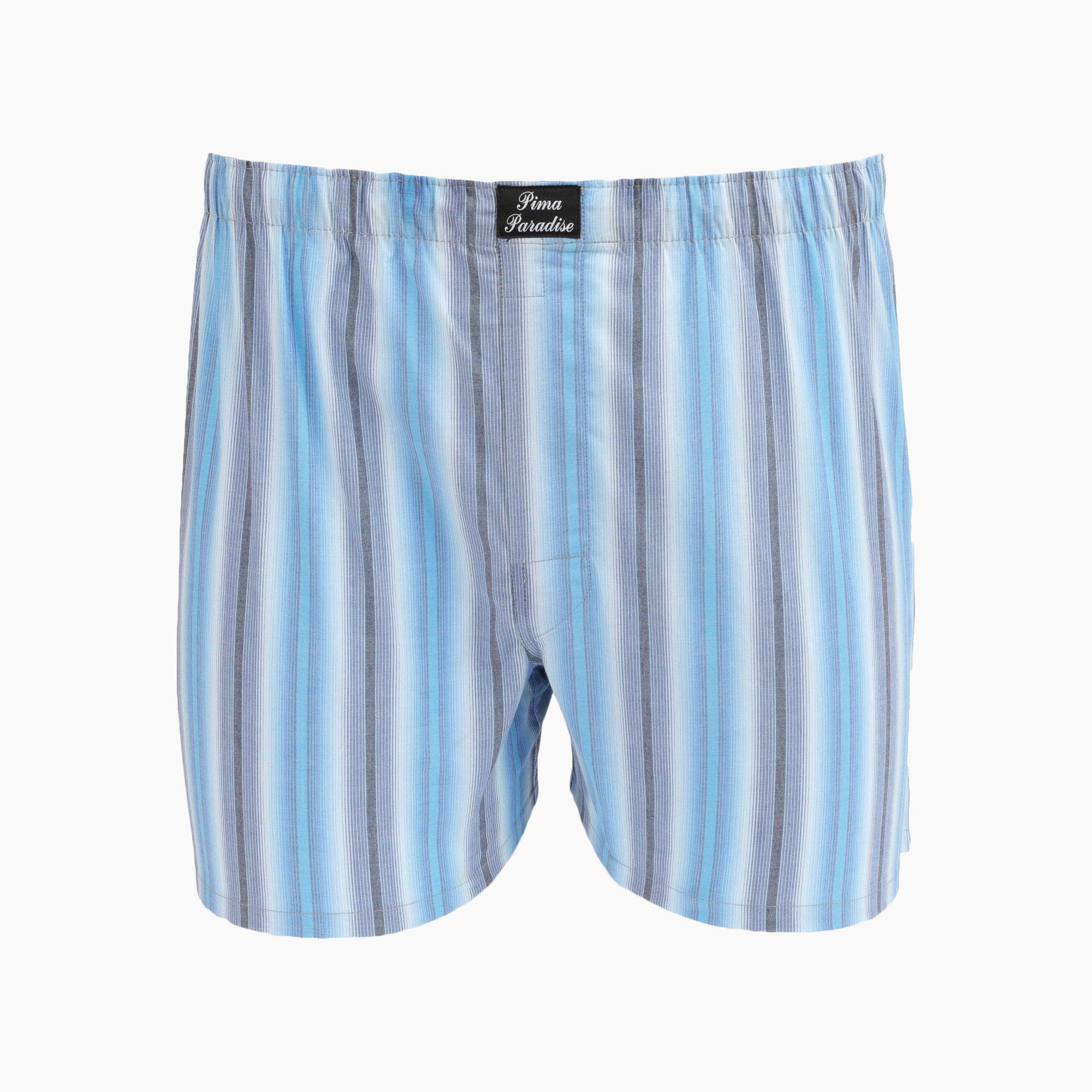 Men's Woven Boxer 1-Pack – Blue Stripe