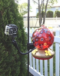 SJCAM 4000 on flexible mount