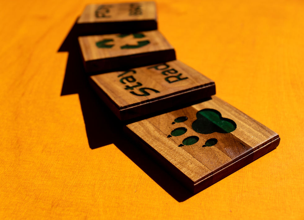 Thumbnail: Rad Coasters
