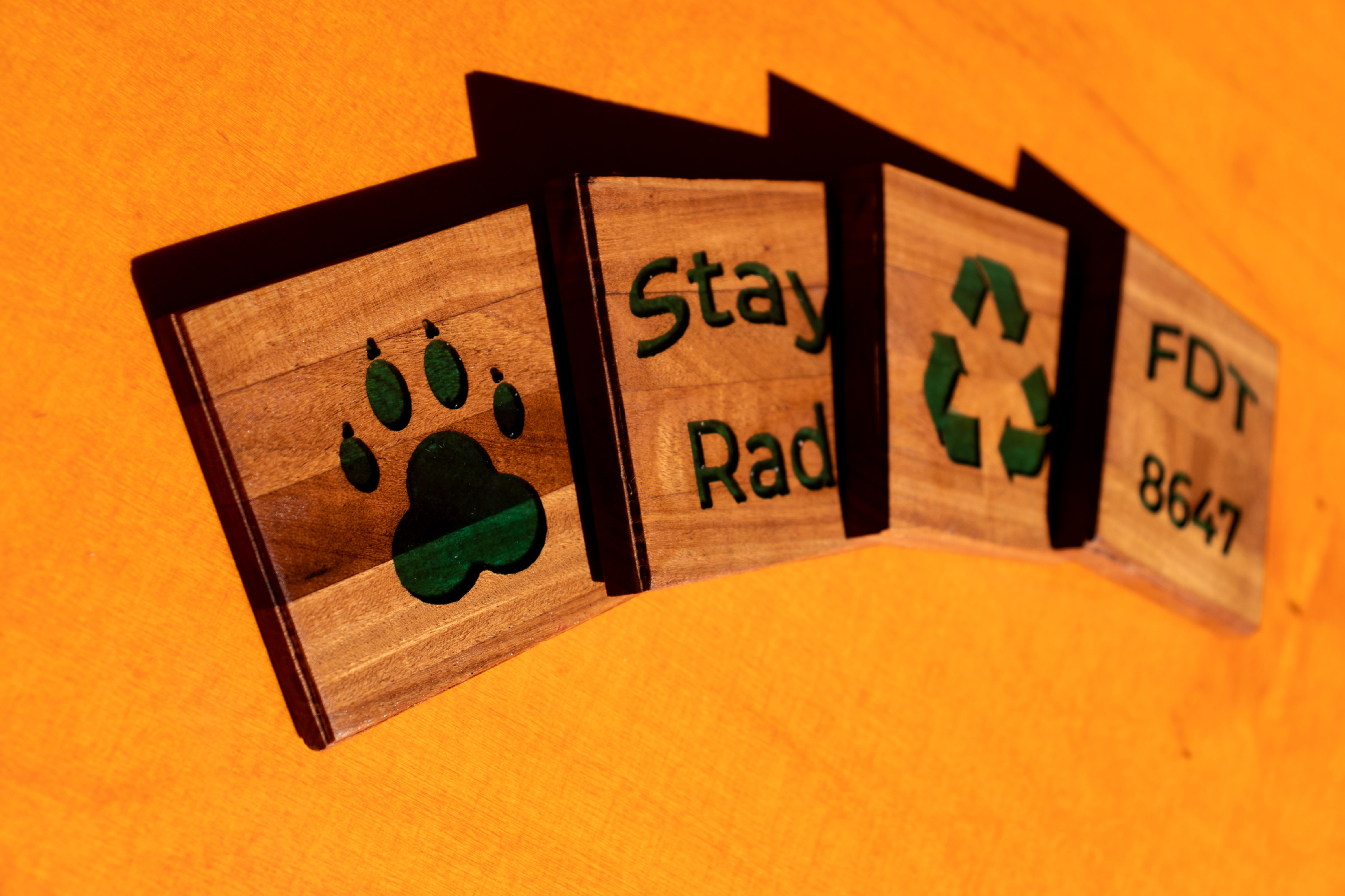 Rad Coasters