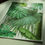 Thumbnail: Palm mix