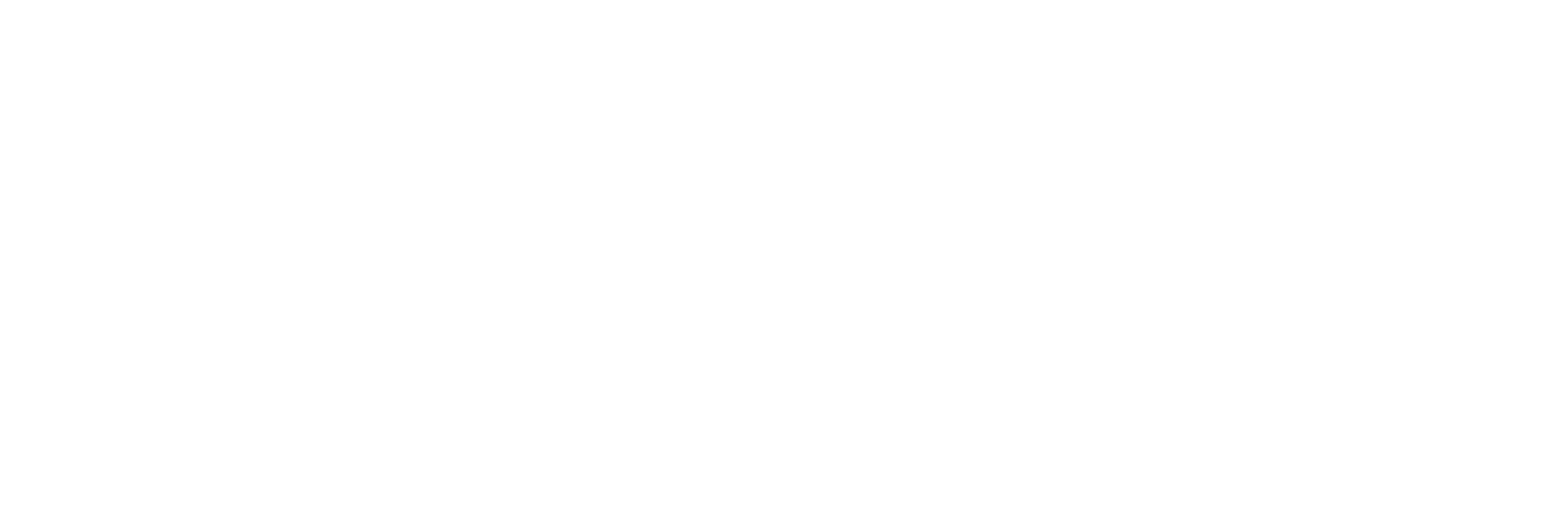 LogoJustWashJustWht.png