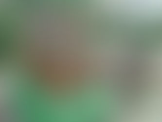 花蓮慈濟人寮房大樓鋼構